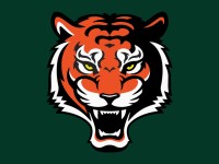 TIGER LOGO