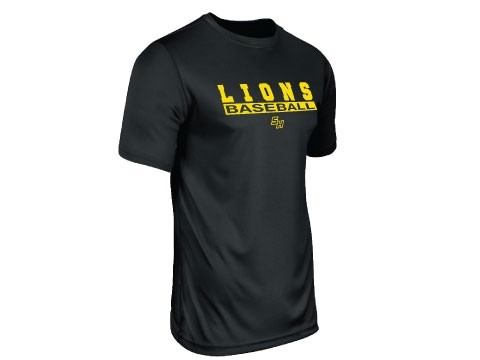 st.hbb-bst99-coach-rec