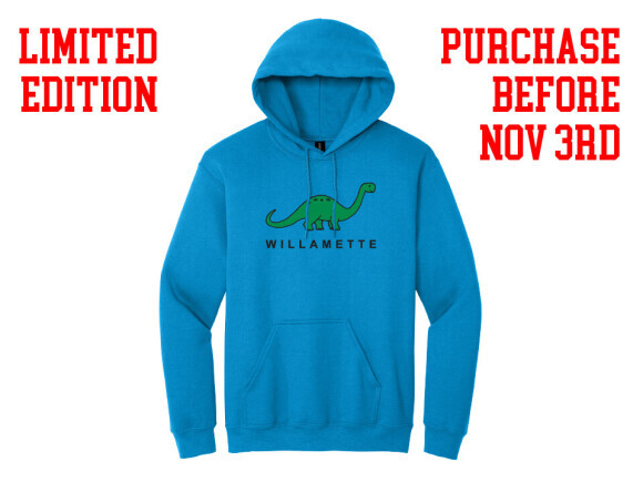 Adult hoodie