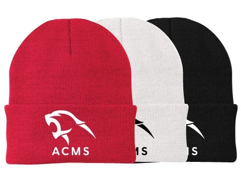 acms-cp90