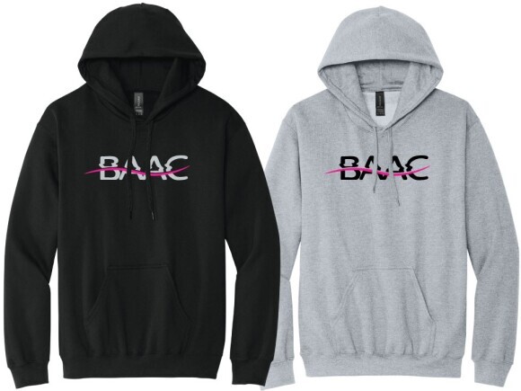 baac-sf500-b